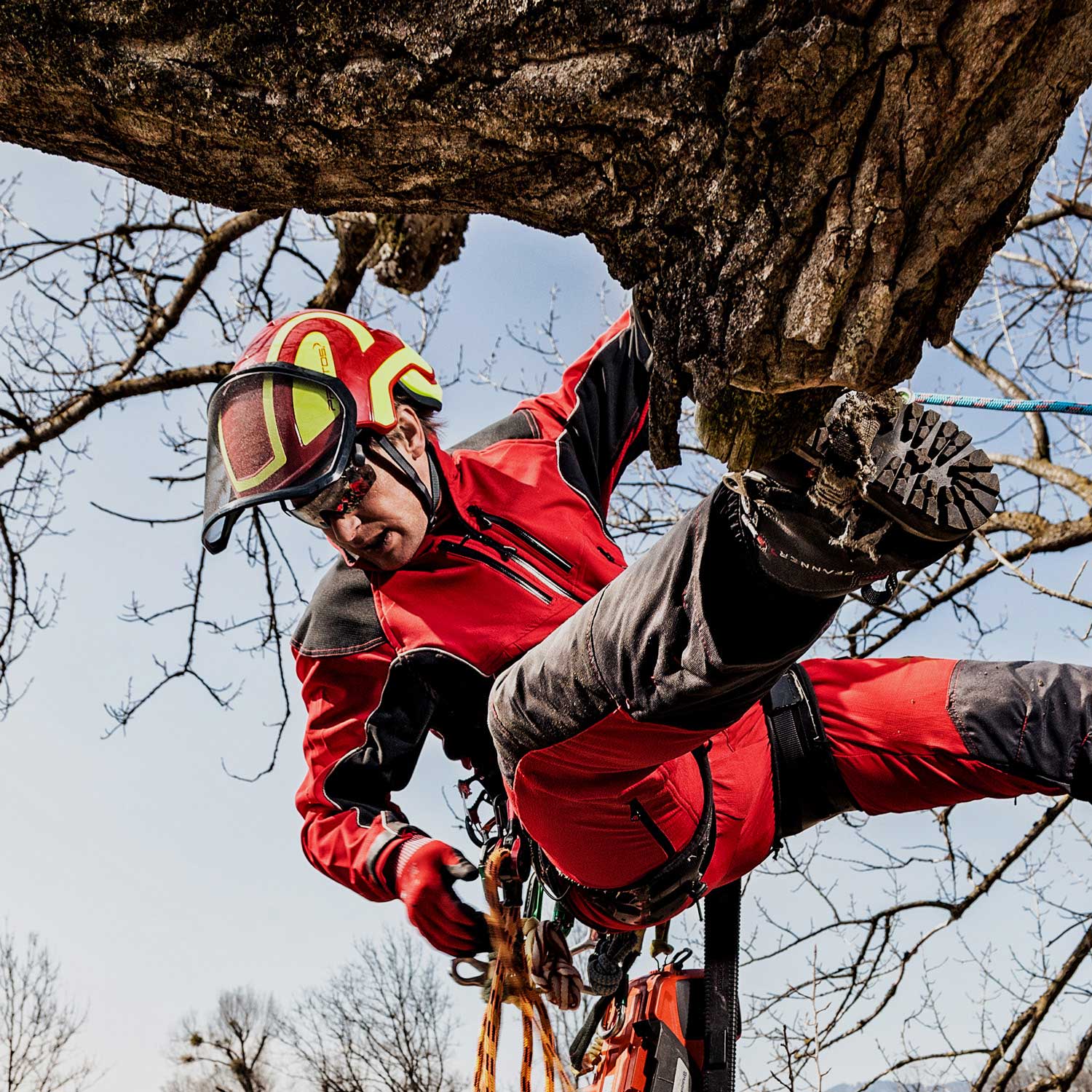 PROTOS®  Arborist