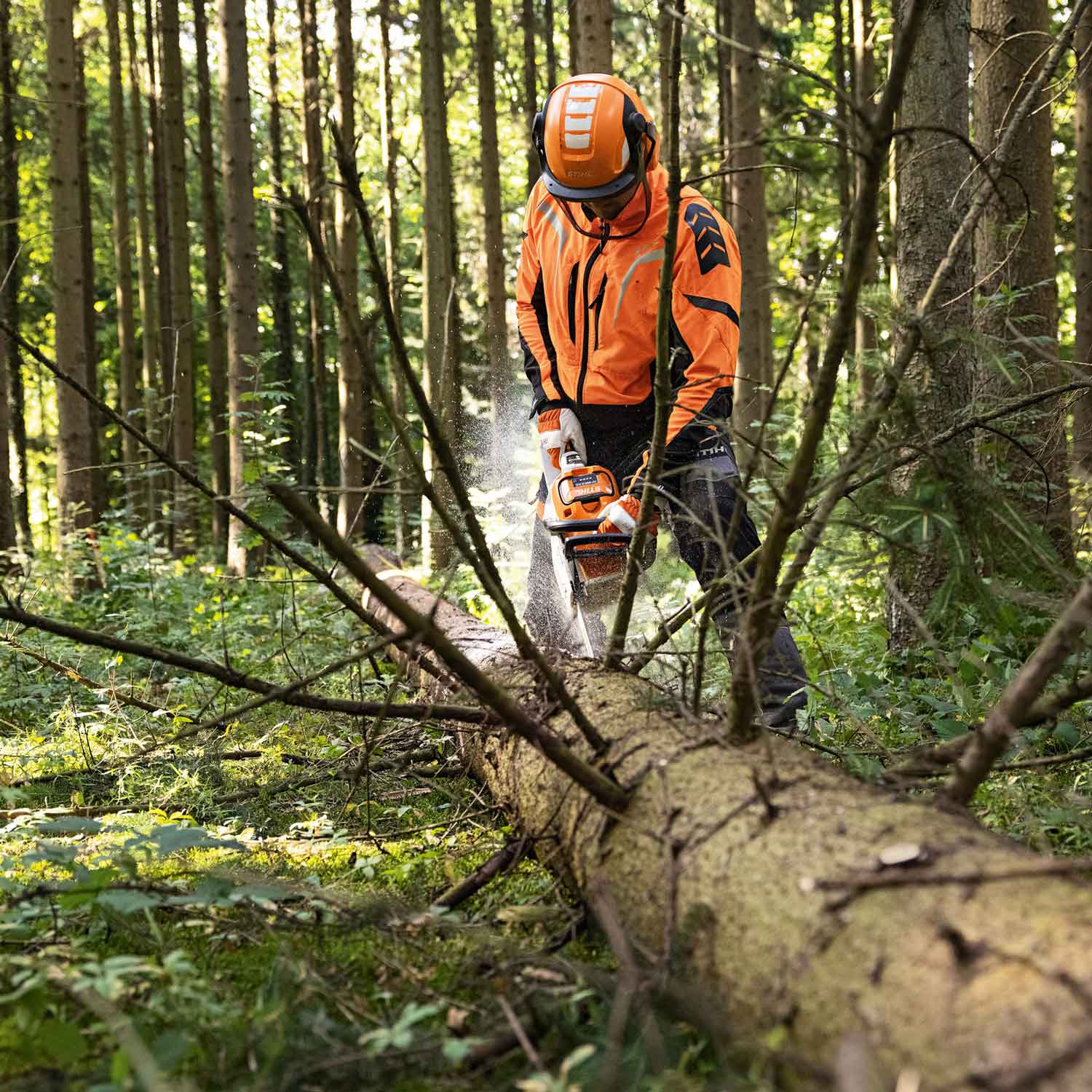 Stihl MSA 300 Akku-Motorsäge