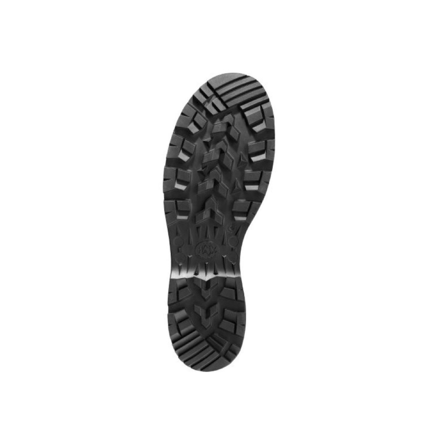 Haix Protector Pro 2.0