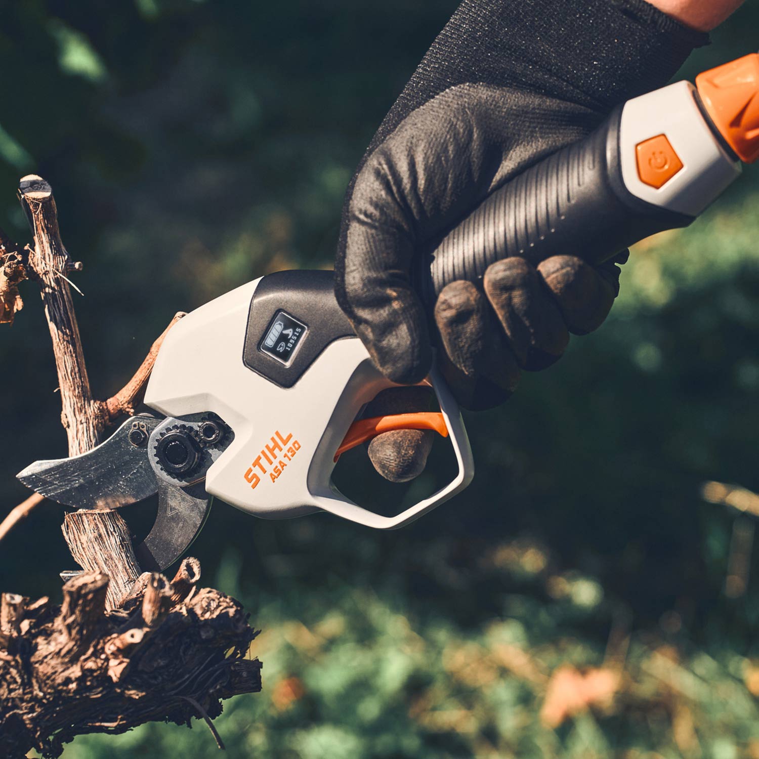 Stihl Akku Astschere ASA 130.0